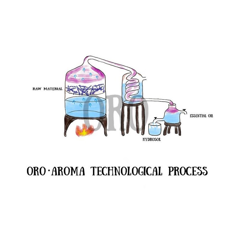 Famous brand oroaroma natural aromatherapy rose essential oil Whitening anti-aging wrinkle relax pigmentation rose oil