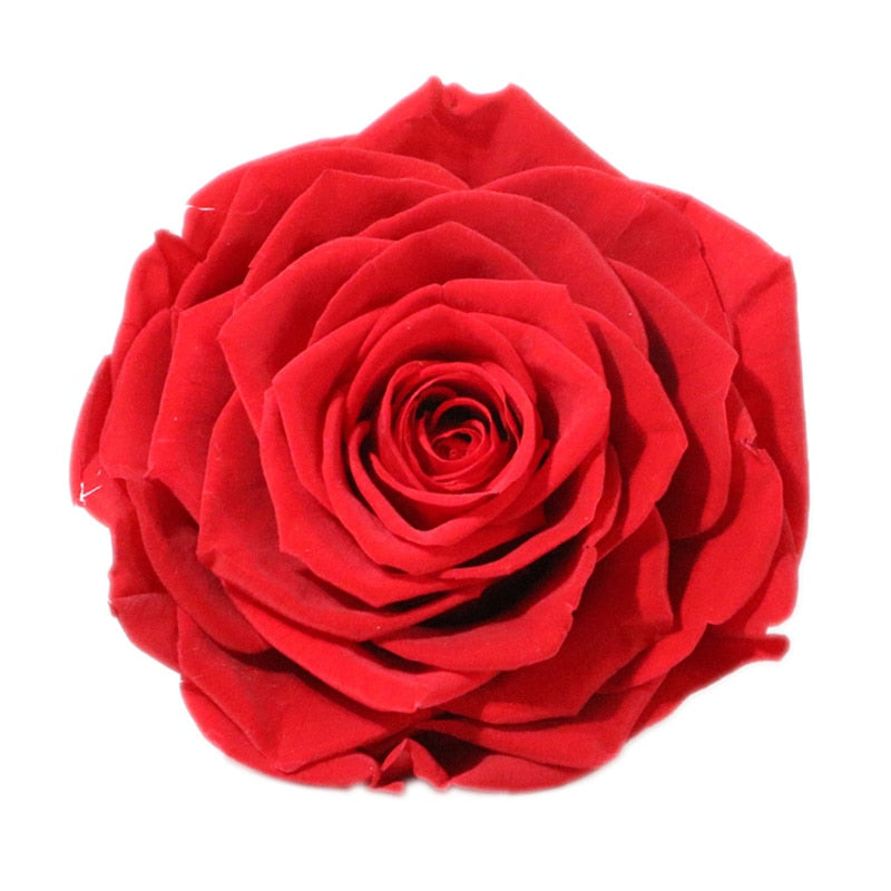 Famous brand oroaroma natural aromatherapy rose essential oil Whitening anti-aging wrinkle relax pigmentation rose oil